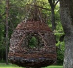 cropped-TreelaxWebsite.jpg