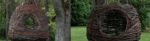 cropped-cropped-treelaxheader1.jpg