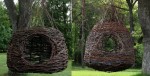 cropped-human-nest.jpg