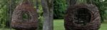 cropped-treelaxheader-1.jpg