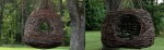 cropped-treelaxheader.jpg