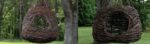 cropped-treelaxheader1-1.jpg