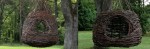cropped-treelaxheader11.jpg