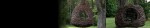 cropped-treelaxheader21.jpg