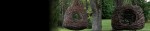 cropped-treelaxheader22.jpg