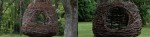 cropped-treelaxheader23.jpg