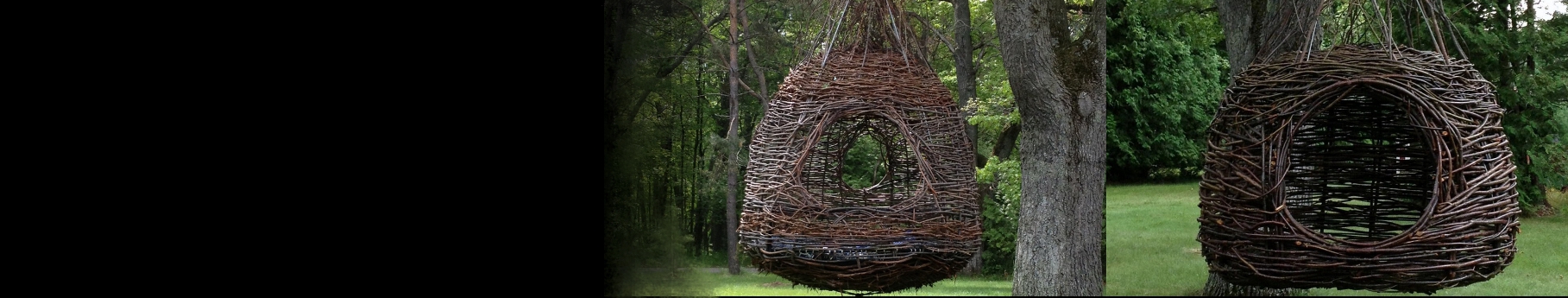 treelaxheader2.jpg